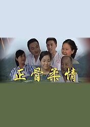《正骨柔情》海报