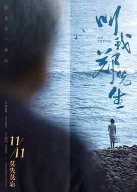 《叫我郑先生》海报