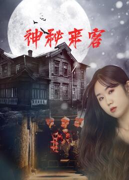 《神秘来客》海报