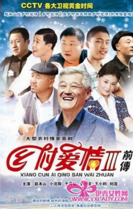《乡村爱情故事》海报