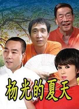 《杨光的夏天》海报