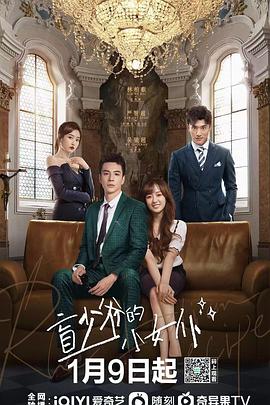 《盲少爷的小女仆》海报