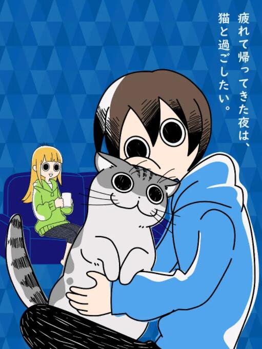 《关于养猫我一直是新手》海报