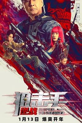 《狙击手：逆战》海报