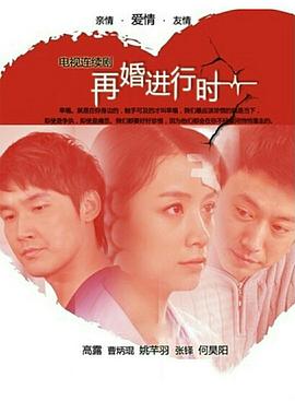 《再婚进行时》海报