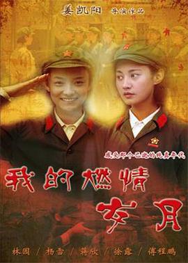 《我的燃情岁月》海报