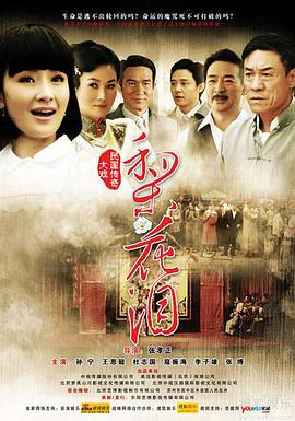 《梨花泪》海报