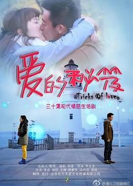 《爱的秘笈》海报