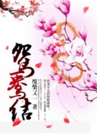 《鸳鸯结》海报