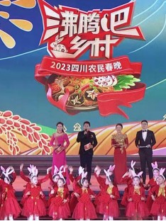《四川卫视 “沸腾吧！乡村” 2023四川农民春晚》海报