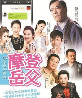 《摩登岳父》海报