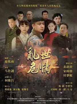 《乱世危情》海报