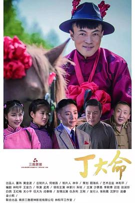 《丁大命》海报