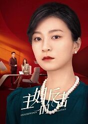 《主妇的反击》海报