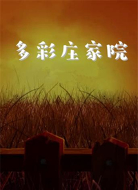 《多彩庄家院》海报