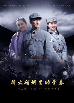 《烽火硝烟里的青春》海报