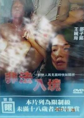 《非法入境》海报