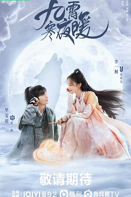 《九霄寒夜暖》海报