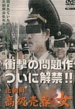 《北朝鮮高級売春女》海报