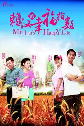 《赖汉的幸福指数》海报
