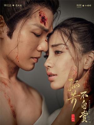《孤芳不自赏纪录片寻芳纪》海报