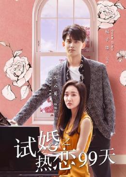 《试婚之热恋99天》海报