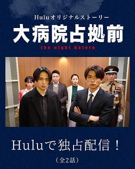 《占领大医院 番外篇》海报