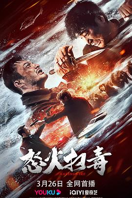 《怒火扫毒》海报