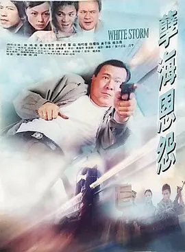 《孽海恩怨》海报