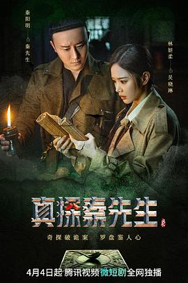 《真探秦先生》海报