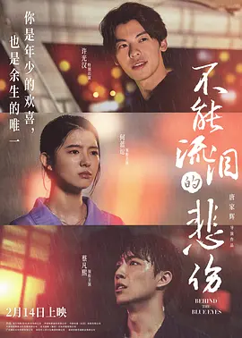 《不能流泪的悲伤》海报
