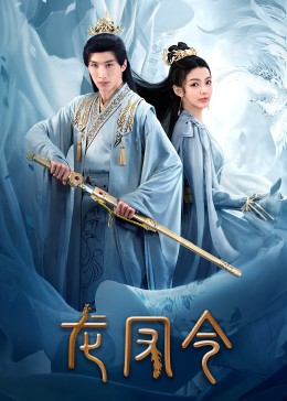 《龙凤令》海报