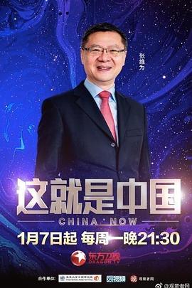 《这就是中国》海报