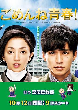 《对不起青春》海报