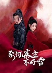 《奈何寨主不好当》海报