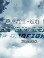 《战机：空中勇士 第七季》海报