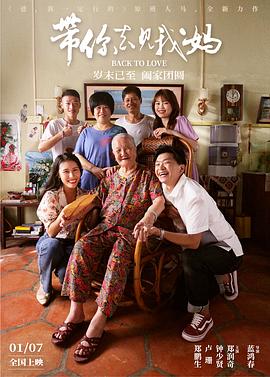 《带你去见我妈》海报