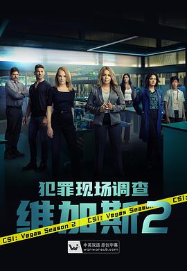 《犯罪现场调查：维加斯 第二季》海报