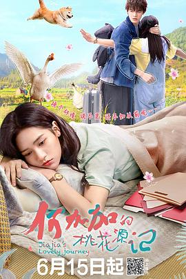 《何加加的桃花源记》海报
