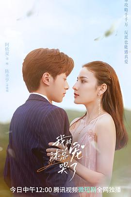 《我被沐总宠哭了》海报