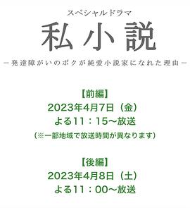 《私小说》海报