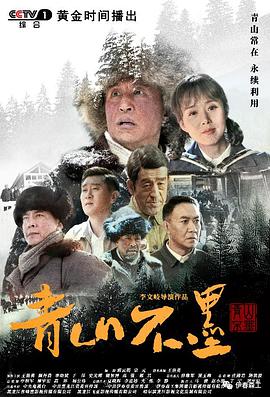 《青山不墨》海报