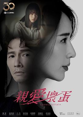 《亲爱坏蛋》海报