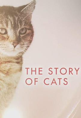 《猫科动物的故事》海报