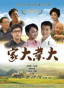 《家大业大》海报