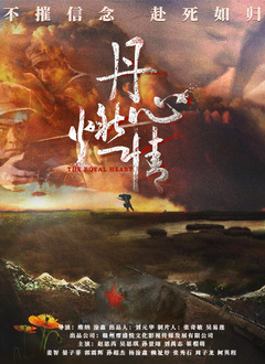 《丹心燃情》海报