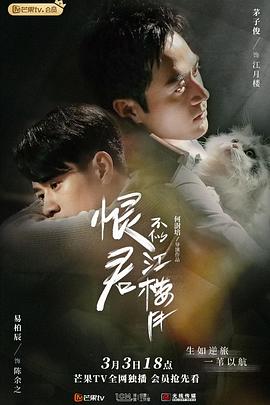 《恨君不似江楼月》海报