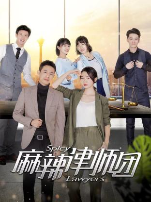 《麻辣律师团》海报