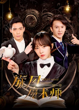 《旋风魔术师第一季》海报