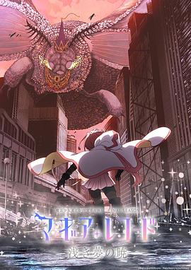 《魔法纪录：魔法少女小圆外传》海报
